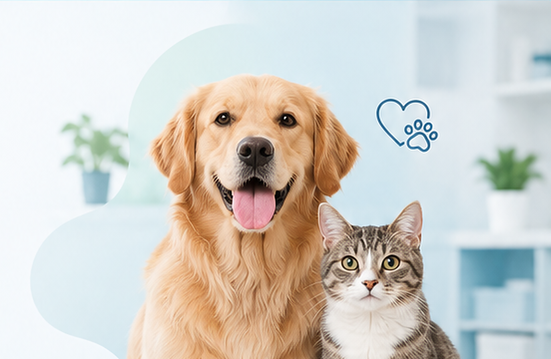 A friendly golden retriever and a tabby cat at the clinic